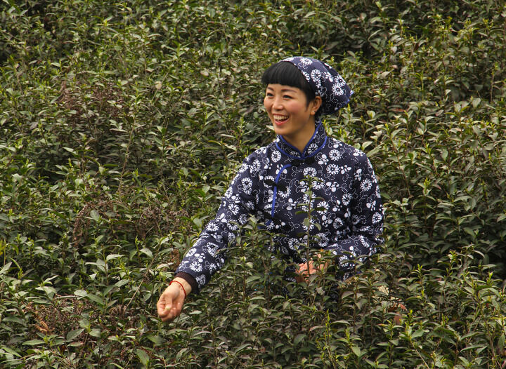 37间房主播跳舞 房间21